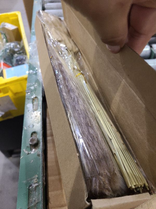 Photo 1 of 100 PCS Small Boho Pampas Grass, 17" Naturally Dried Pompas, Pampas Grass Decor for Wedding , Boho Party Decorations, Table Decor?Brown and White?