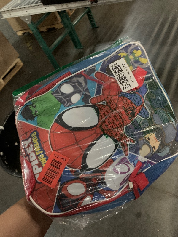 Photo 1 of (missing lunch box) Marvel Spidey and His Amazing Friends Backpack With Lunch Box for Kids | Insulated Lunch Bag Lunch Box 