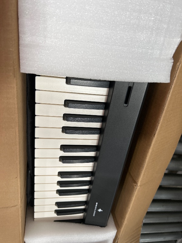 Photo 1 of Donner DP-10 Portable Piano Keyboard 88 Keys for Beginner, Bluetooth Foldable Piano Keyboard with 128 Rhythms&Tones, Chord, Record, Drum Kit, Folding Digital Piano Bundle with Pedal, Piano Bag, Black