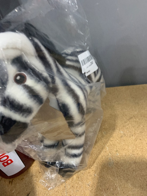 Photo 1 of Aurora® - Eco Nation™ Zebra