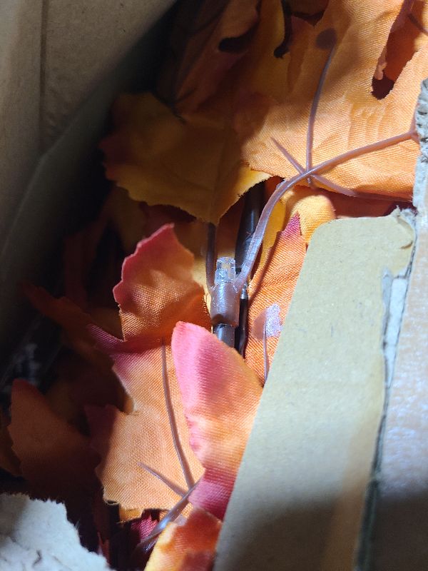 Photo 1 of 2 Pack 4FT Artificial Lighted Maple Tree, Fall Decorations for Home with Timer, 100 LED Prelit Fall Decor Maple Tree with Warm White Light for Indoor Outdoor Harvest Halloween Thanksgiving Day, Orange