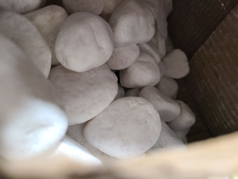 Photo 1 of 17.6 Lbs Natural River Rocks for Plants 1''-2'' Large Landscaping Garden Stones White Aquarium Gravel Decorative Pebbles for Indoor Outdoor Planters, Big Terrarium Rocks in Bulk, Home Decor