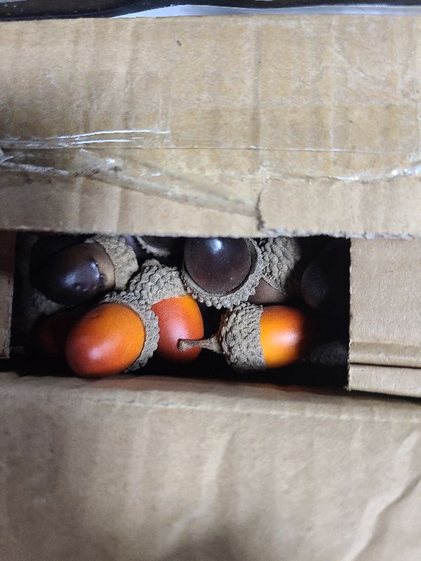 Photo 1 of 120 PCS Artificial Acorns Decorative, Fall Fake Acorn with Natural Acorn Cap Simulation Mini Acorns for DIY Craft Fall Vase Filler Home Winter Festival Party Favor Supplies