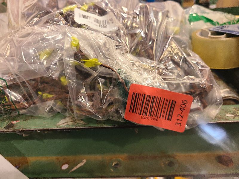 Photo 1 of 118 inch Malleable Artificial Floral Tree Branches Twigs Vines Rattan Cherry Blossom Trunk Ivy Grapevines Wall Fake Hanging Plants Willow Grapevine Garland for Wedding Arch Jungle Halloween Decoration