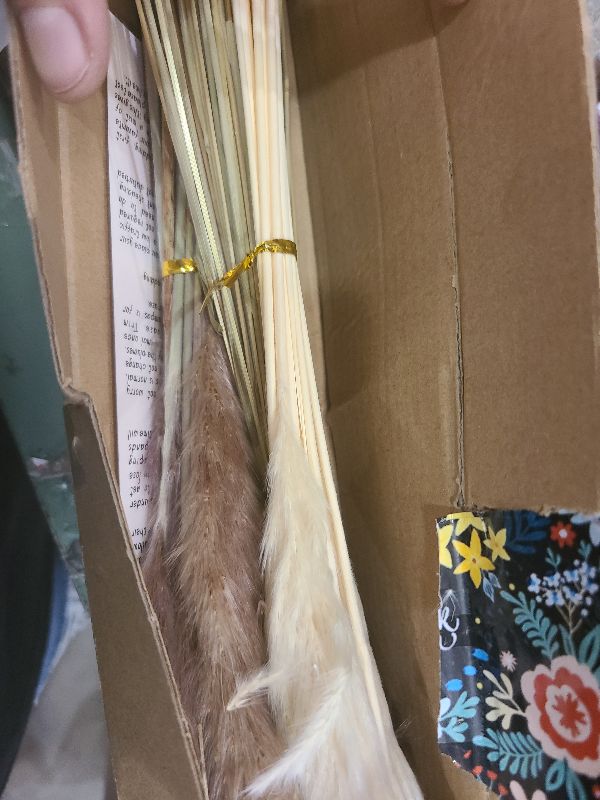Photo 1 of 100 PCS Small Boho Pampas Grass, 17" Naturally Dried Pompas, Pampas Grass Decor for Wedding , Boho Party Decorations, Table Decor?Brown and White?