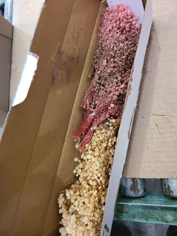 Photo 1 of 100Pcs Mini Dried Baby's Breath Flowers Pink & Cream White, 5600+ Gypsophila Bulk Bouquet, Natural Dried Flowers for Resin, Vase Decor, DIY Crafts, Wedding Wreaths and Party Decorations