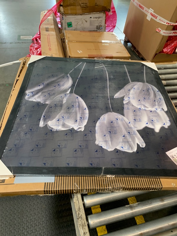 Photo 1 of **MINOR CRACK** Americanflat 36x36 Picture Frame with Polished Plexiglass - Epic Collection - Square Picture Frame with Engineered Wood - Wide Photo Frames for Wall display - Black