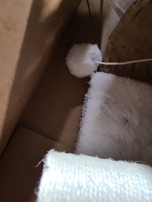 Photo 1 of 19-Inch Cat Scratching Post with Hammock ? Sisal Fabric and Carpet Small Cat Tree, Hanging Ball Toy for Adult Cats and Kittens by PETMAKER (White)