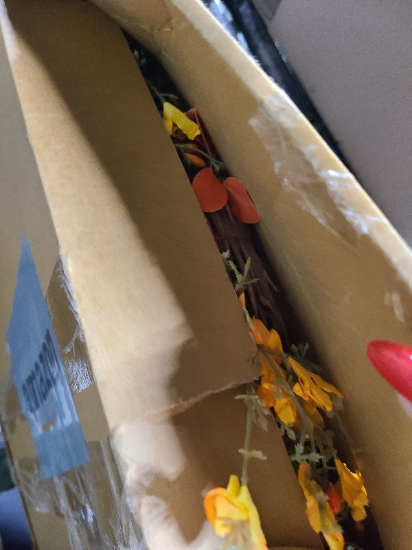 Photo 1 of 22 Inch Fall Wreaths for Front Door Artificial Orange Eucalyptus Berry Autumn Wreath with Daisy Jasmine Flowers Farmhouse Fall Flower Wreath for Front Door Outside Indoors