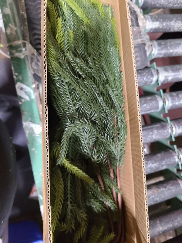 Photo 1 of 12Pcs Christmas Norfolk Pine Stems, 24'' Long Artificial Evergreen Norfolk Pine Branches, Real Touch Greenery Picks, Faux Floral Branch for Mantel DIY Xmas Home Decoration Indoor Christmas Decor