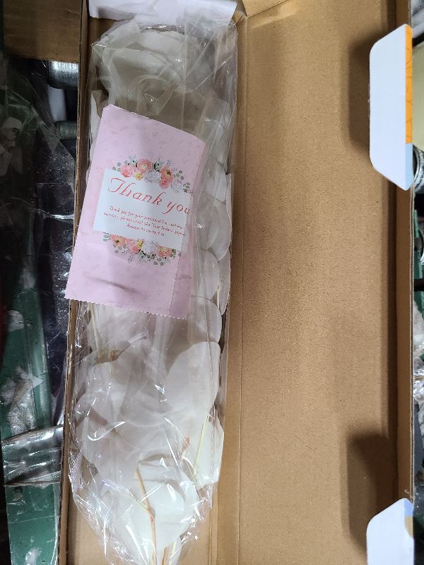 Photo 1 of 10 PCS Real Creamy White Silver Dollar Eucalyptus Stems for Vase - 15"-17" Fresh & Dried Eucalyptus Leaves Bundle, Natural Greenery Plants for Home, Wedding, Boho Decor & DIY Crafts