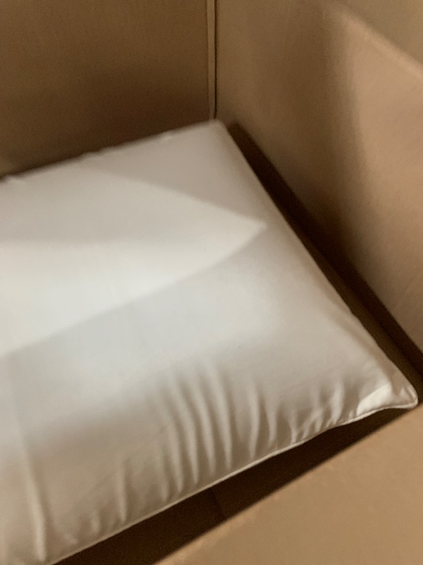Photo 1 of Sleep Innovations Classic Memory Foam Pillow, Queen (Pack of 1), White