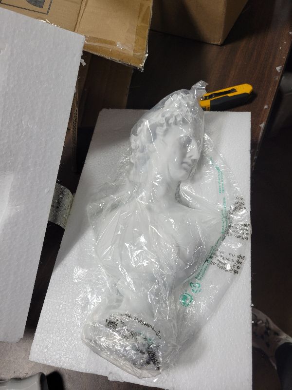 Photo 1 of 11.8 Inch Classic Greek White David Man Bust Statue, Large Resin Roman Goddess Apollo Sculpture for Home Décor