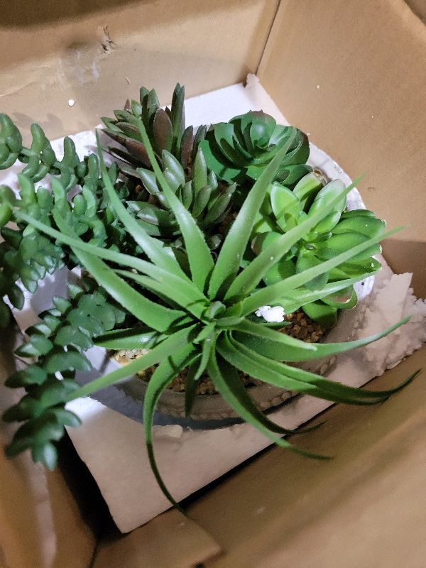 Photo 1 of 11” Large Succulents Aloe Plants Artificial in Ceramic Pots Potted Faux Succulent Eucalyptus Arrangement with Black Bowl Pots Fake Desk Succulents Plants for Home Bathroom Shelf Table Indoor Decor