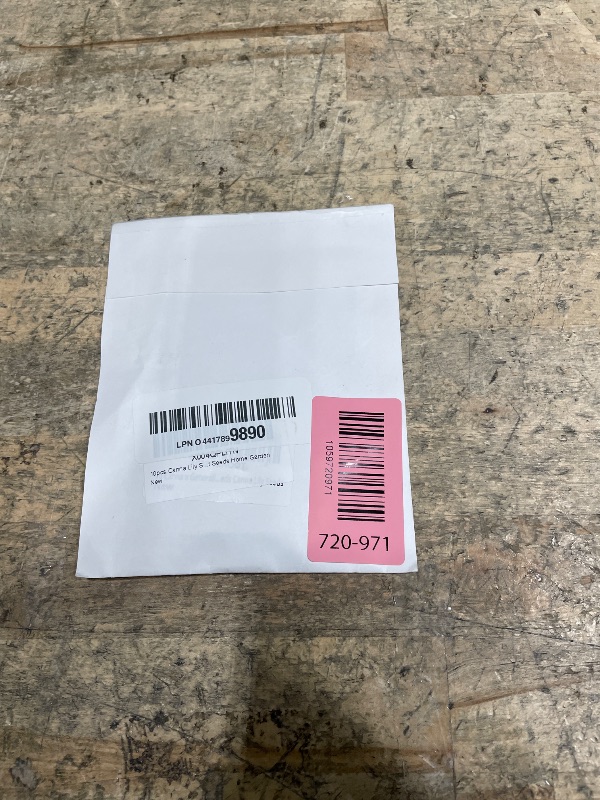 Photo 1 of 10pcs Canna Lily Seeds Canna x Generalis Cleopatra Ornamental Plant Seeds Home Garden