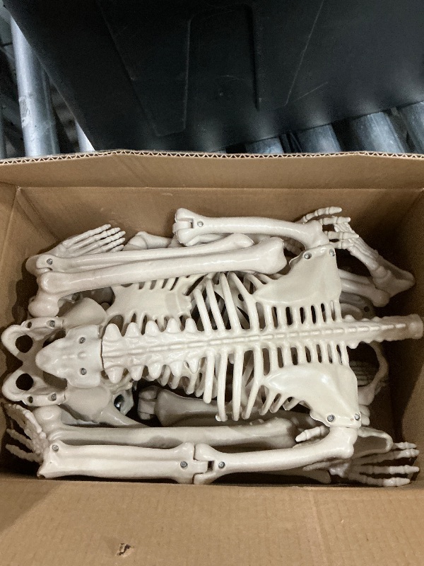 Photo 1 of *UNKNOWN SIZE**SKELETON FIGURE 