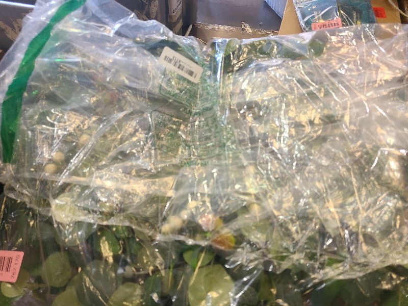 Photo 1 of 24 Inch Eucalyptus Wreaths for Front Door,Spring Summer Fall Autumn Winter Wreaths,Large Eucalyptus Greenery Wreath with Olive Leaves Berries for Front Door Outdoor Farmhouse Decor All Seasons