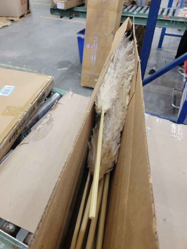 Photo 1 of 10 PCS 40" Tall Pampas Grass Stems in Natural Beige, Add a Boho Touch to Your Space—Pompas Grass Ideal for Floral Arrangements, Floor Vases, Weddings, and Creating a Bohemian Ambiance at Home.