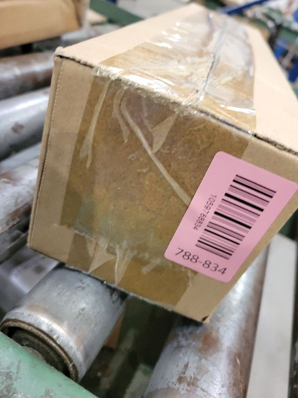 Photo 1 of 18IN Real Touch Norfolk Pine Branch 12PCS Artificial Christmas Green Plants Branches Faux Greenery Stem Fake Pine Picks for Vase DIY Crafts Arrangement Garland Wreath Xmas Indoor Outdoor Home Decor