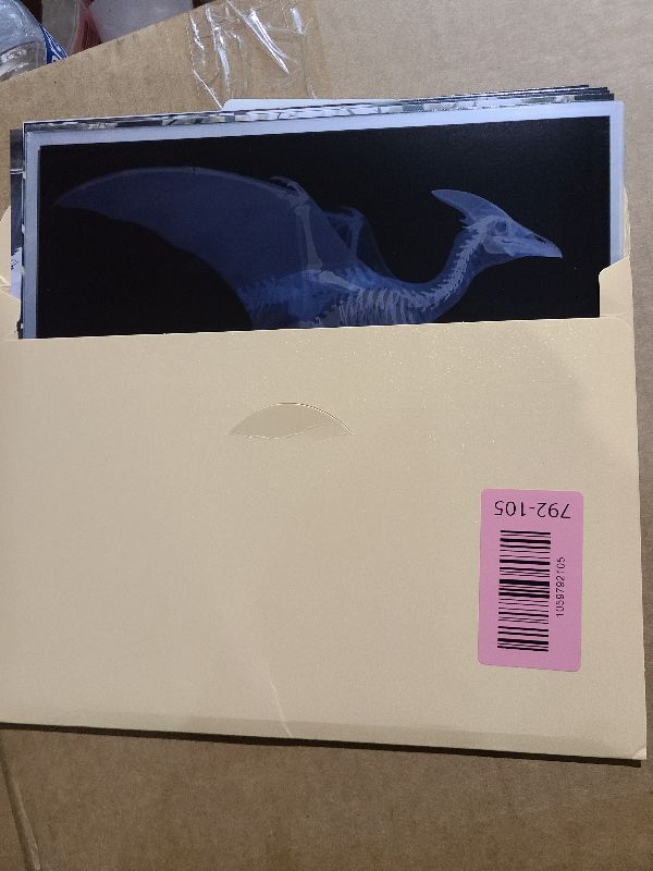 Photo 1 of 16 Animal X-Ray Set, Educational Science Kit for Kids to Explore Bone Structures for Lightstand Accessories, Light and Shadow Areas (Dinosaur Series)