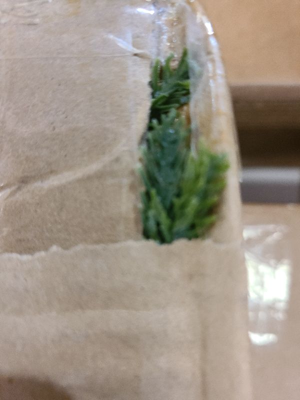 Photo 1 of 12 Pcs Christmas Lighted Norfolk Pine Stems 18 Inch with Lights & Pine Cones, Prelit Pine Branches, Picks for Vase, Fireplace Mantel Decor, Holiday Centerpieces & Indoor Decorations, Filler