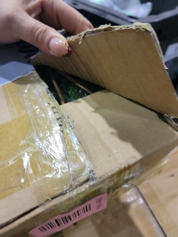 Photo 1 of 16 PCS 18 Inches Artificial Christmas Norfolk Pine Branch, Natural Touch Norfolk Faux Greenery Pine Stems, Fake Norfolk Picks Christmas Decoratoins for Vase DIY Garland Wreath Xmas Indoor Home Decor