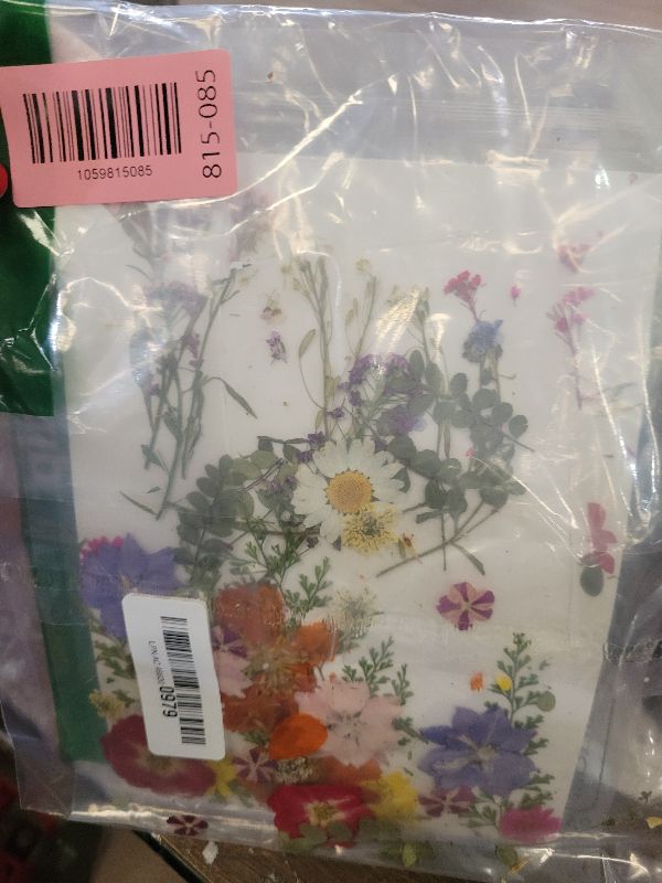 Photo 1 of 17 Types 48PCS Real Dried Pressed Flowers Leaf Plant Herbarium for DIY Resin Jewelry Making Floral Decors(Colorful)