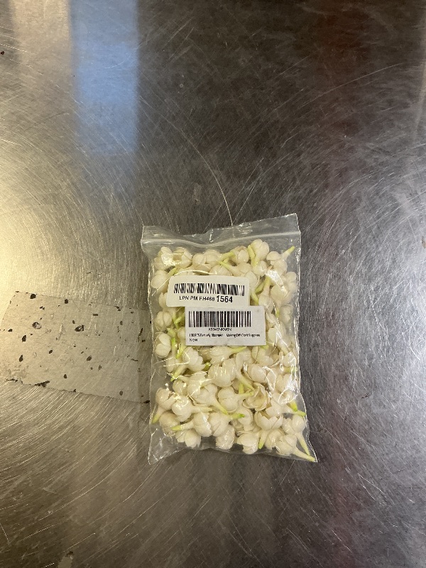 Photo 1 of 100 PCS Partially Bloomed Pikake Jasmine Clay Beads (02) for Jewelry Making DIY Craft Supplies