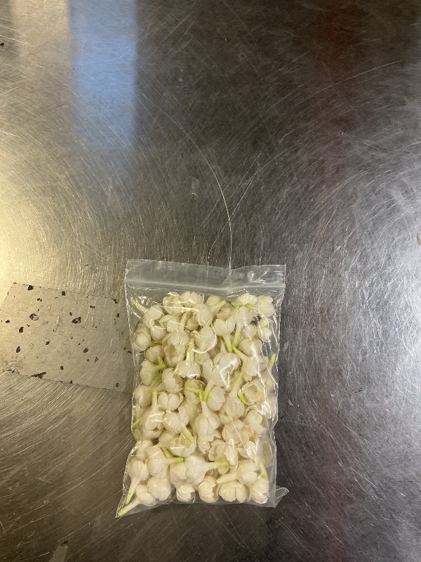 Photo 1 of 100 PCS Partially Bloomed Pikake Jasmine Clay Beads (02) for Jewelry Making DIY Craft Supplies