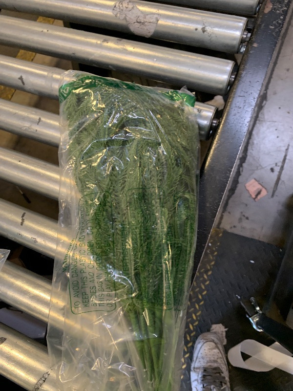 Photo 1 of 10Pcs Artificial Norfolk Pine Branches 17.7 Inches Fake Norfolk Pine Needles Sprigs Christmas Greenry Stems DIY Crafts Accessories for Garlands Vase Xmas Tree Filler Picks Home Decorations (10, Green)