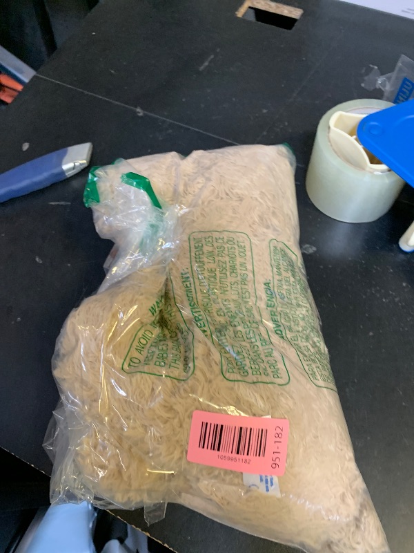 Photo 1 of TEDDY BEAR