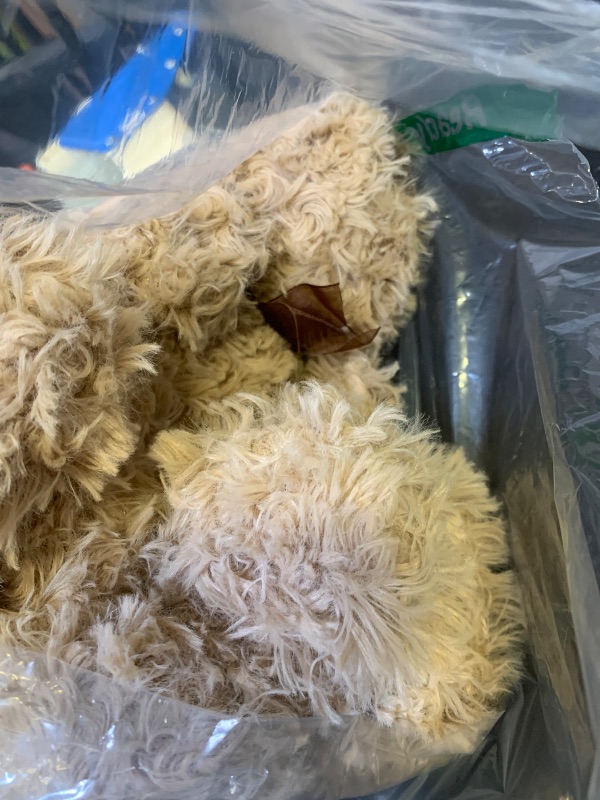 Photo 1 of TEDDY BEAR