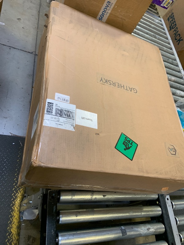 Photo 1 of Terriplaze Ebike Rack with Ramp for 2" Receiver, 2 Hitch Bike Rack for Car/SUV, Up to 5’’ Fat Tire, 200 lbs Capacity, with Locks, Tiltable, Wheels for Easy Transport