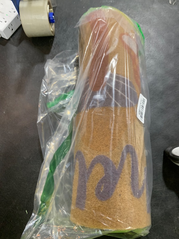 Photo 1 of Mushroom Door Mat 18x30 Inch, Colorful Mushroom Durable Welcome Mat for Outdoor Indoor Entryway Porch Home Decor, Coco Coir Doormat with Heavy Duty Non-Slip PVC Backing, Hello There Fun Chill Doormat