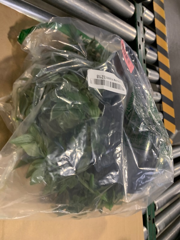 Photo 1 of Season 2 Season Artificial Hanging Plants,2 Pack Fake Wall Plants,Faux Mandala Vines Potted Plant,Plastic Greenery with Wall Planter for Indoor Outdoor Garden Patio Office Décor