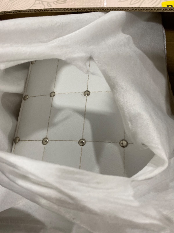 Photo 1 of WHITE TRUNK