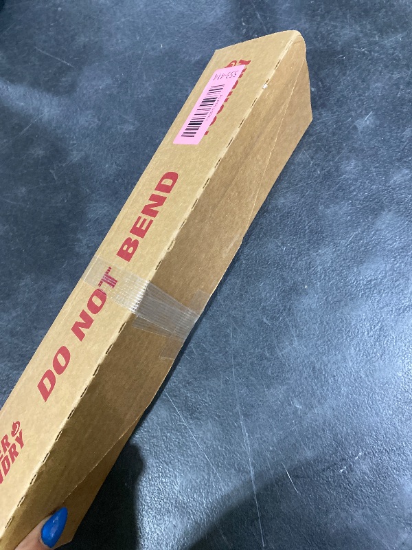 Photo 1 of Epson Enhanced Matte 44-Inch x 100-Feet Photo Paper (S041597), White, Roll