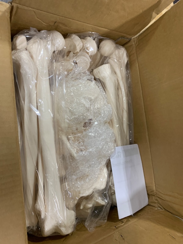Photo 1 of Houseables Disarticulated Human Skeleton, Human Skeleton Model for Anatomy, Anatomy Model, Anatomically Correct, Physiology Bones, Skeletal System, Full Life Size, Anatomical, Study, Class, 62” Height