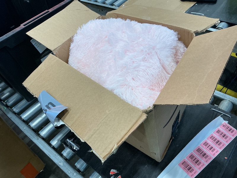 Photo 1 of *MINOR DAMAGE - USED*
Pink Area Rugs for Bedroom Girls, Living Room Decor, Fluffy Fuzzy Shag Rug 4x6 for Kids Room, Soft Cute Indoor Floor Carpet for Baby, Teen, Nursery, Preppy Dorm, Playroom, Plush Aesthetic Bedside Rug