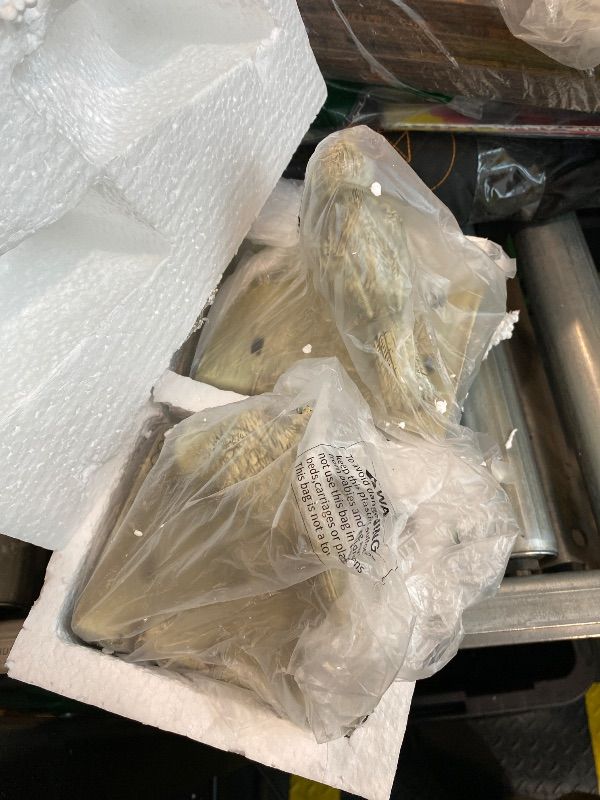 Photo 1 of ***MAJOR DAMAGE*** MyGift Resin Decorative Bookends for Heavy Books with Bird and Book Design, Farmhouse Book Ends, Vintage White Bookends, 1 Pair