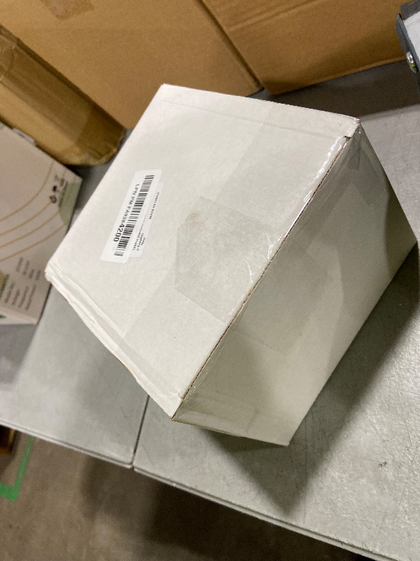 Photo 1 of 100 Clips 