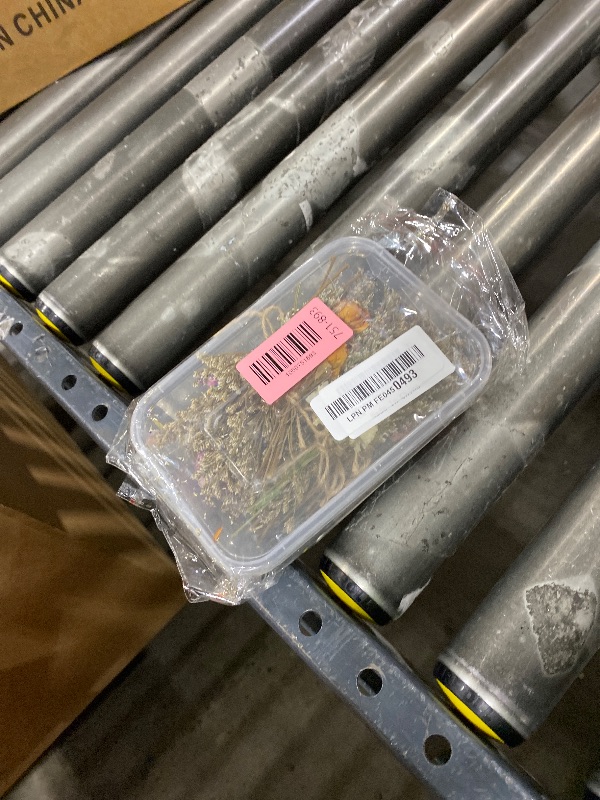 Photo 1 of 10 Pcs Mini Dried Flowers Bouquets Forget Me Not Natural Dried Flower Bundles with Stem Small Fake Wildflowers Bouquet Bulk Artificial Flower Floral Arrangement for Vase Wedding Teacher's Day DIY