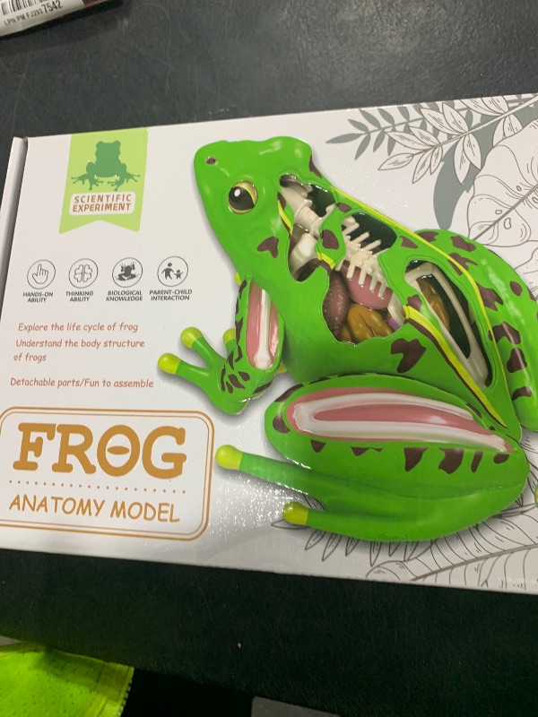Photo 1 of 4D Vision Frog Anatomy Model, 23 Part Puzzle of Frog and 11 Knowledge Flash Cards, Detachable Frog Organs and Body Parts Model, Educational Medical Clinic Teaching Equipment, STEM Toy Gift for Kids