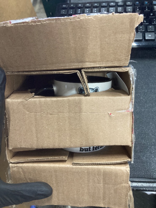 Photo 1 of "Cute but Feral" Funny Cute Raccoon Dancing Meme Teens Girls Ceramic Mug, Black/White