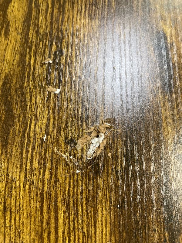 Photo 1 of ***BOX 1 OF 2 ONLY/MISSING FIREPLACE/SOME DAMAGE TO WOOD-SEE PICS****59'' Fireplace TV Stand with 3D Flame Electric Fireplace Heater, 34'' Tall Farmhouse TV Stand for 65 Inch TV, Entertainment Center TV Console with 2 Drawers, Sliding Barn Door for Living