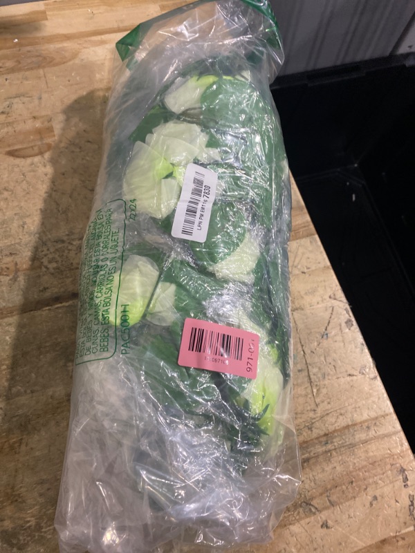 Photo 1 of 10PCS Fake Rose Garland, 7.5Ft Artificial Vines Flowers Hanging Rose Vine for Table Wedding Backdrop Arch Wall Party Mantle Festival Decor (Light White)