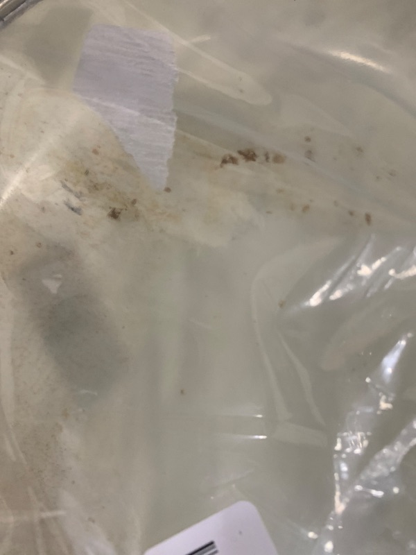 Photo 1 of **HAS SCRAPES & SCRATCHES TO MATERIAL**** SENSARTE Ceramic Nonstick Frying Pan Skillet with Lid 12.5Inch Large Non Stick Non-toxic Healthy Kitchen Cooking Chef's Pan, Free of Intentionally Added PFOA/PFAS/PTFE, Induction Compatible, White