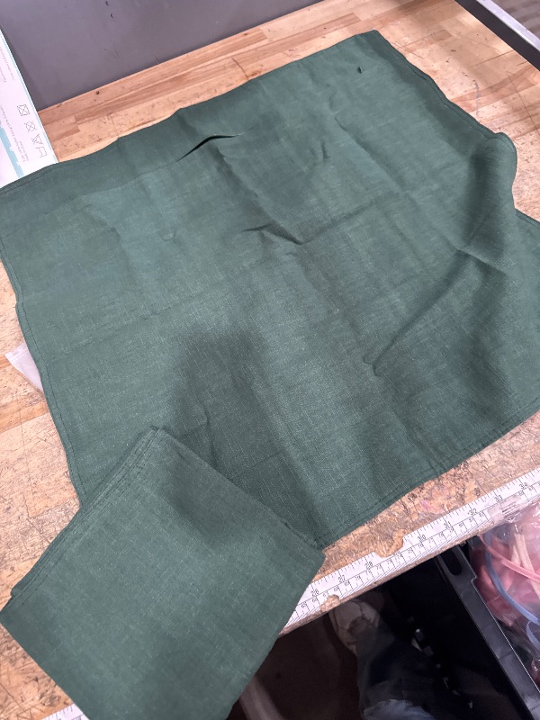 Photo 1 of *UNKNOWN SIZE* GREEN PILLOW COVERS