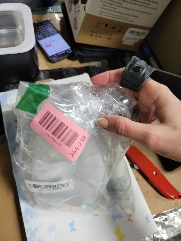 Photo 1 of 2 PCS Protective Case for Plush Doll, Clear Crossbody Display Bag for Labu Doll, Figure Hanging Pouch Keychain Charms, PVC Storage Case for Collectibles (Doll Not Included)