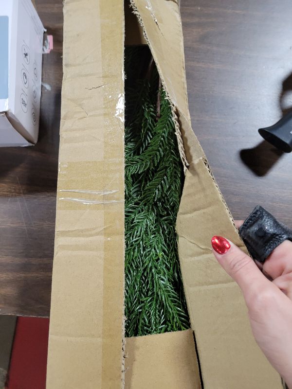 View 2 of 12Pcs Christmas Norfolk Pine Stems, 24'' Long Artificial Evergreen Norfolk Pine Branches, Real Touch Greenery Picks, Faux Floral Branch for Mantel DIY Xmas Home Decoration Indoor Christmas Decor